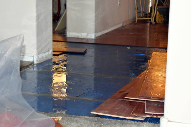 Professional Flood Damage Repair technician working in Coats, NC